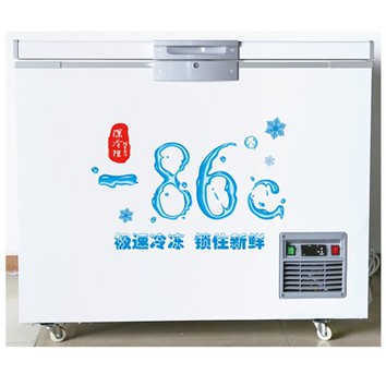 सूखा बर्फ कंटेनर